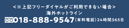 <※上記フリーダイアルがご利用できない場合>海外ホットライン