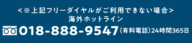 <※上記フリーダイアルがご利用できない場合>海外ホットライン